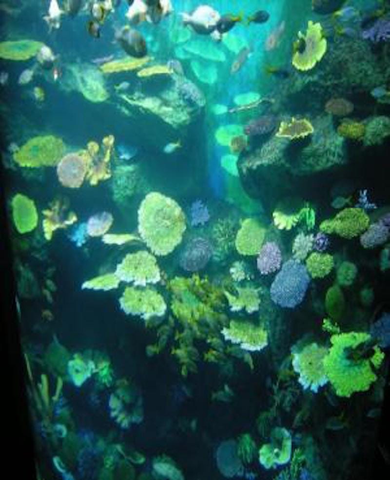 4 "Peace begins with me": Ho'oponopono and Self I-D-entity