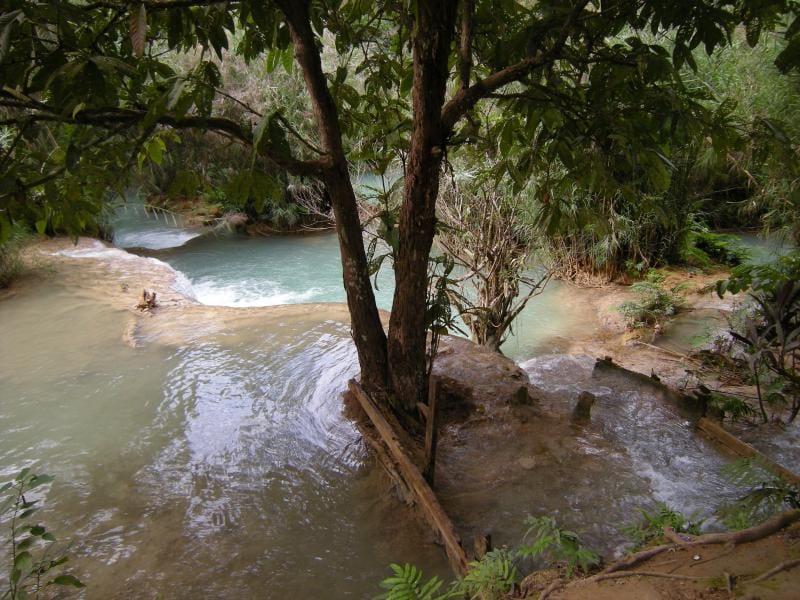 12 Securing, Directing and Supporting Oneself