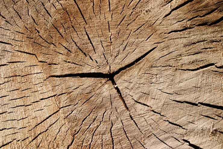 27 Coherence, Surrender and Joy