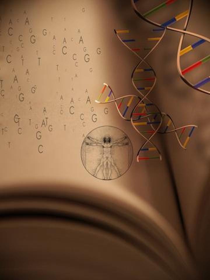 34 God's DNA IV: Quantum Grammar 2