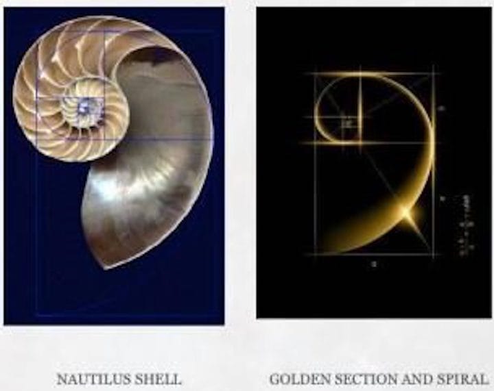 54 Recalibration 2: I need do nothing