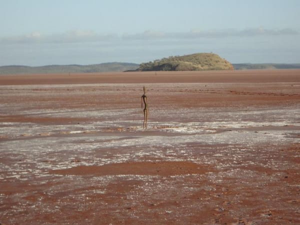 9 Alone or Al[l]-One?