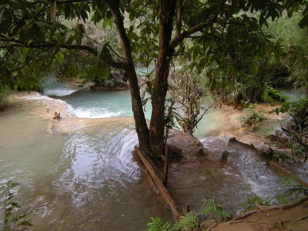 12 Securing, Directing and Supporting Oneself