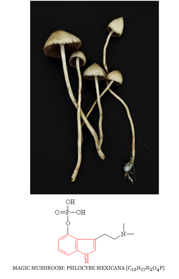 46 Are We Time Travelers? 2 : Quantum Pharmacology