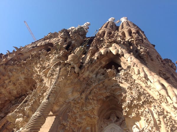 65 Art, like a seed, creates itself in the artist's hand