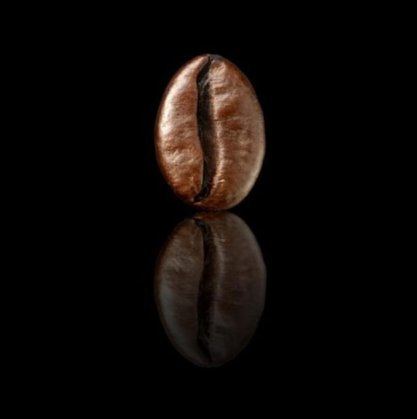 15 Object Versus Symbol II: About Symmetry